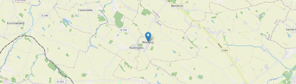 Beaupuy - Carte