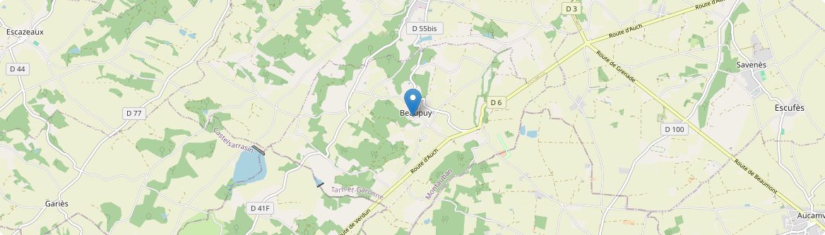 Beaupuy - Carte