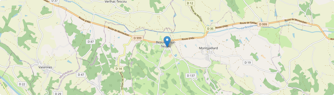 Beauvais-sur-Tescou - Carte