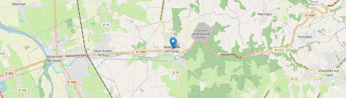 Bellegarde-en-Forez - Carte