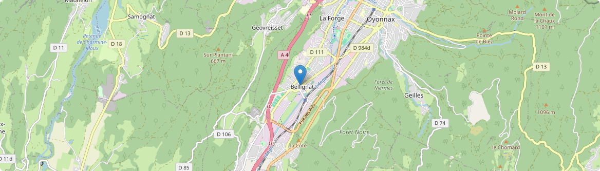 Bellignat - Carte