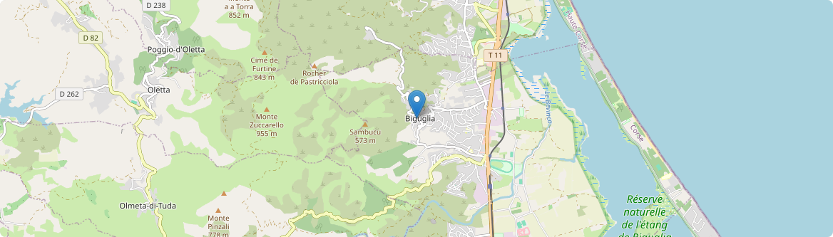 Biguglia - Carte