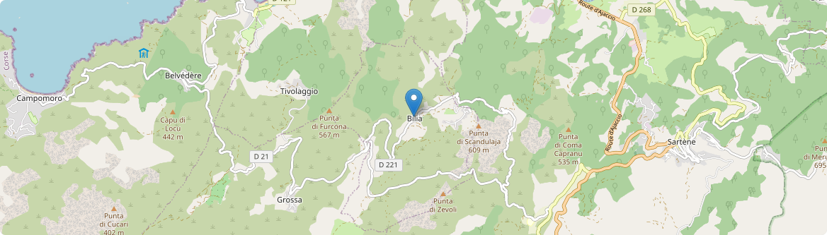Bilia - Carte