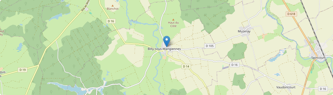 Billy-sous-Mangiennes - Carte