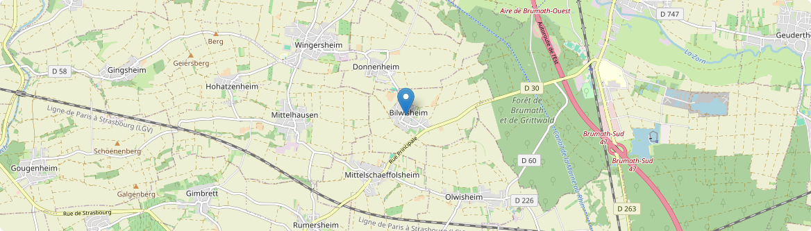 Bilwisheim - Carte