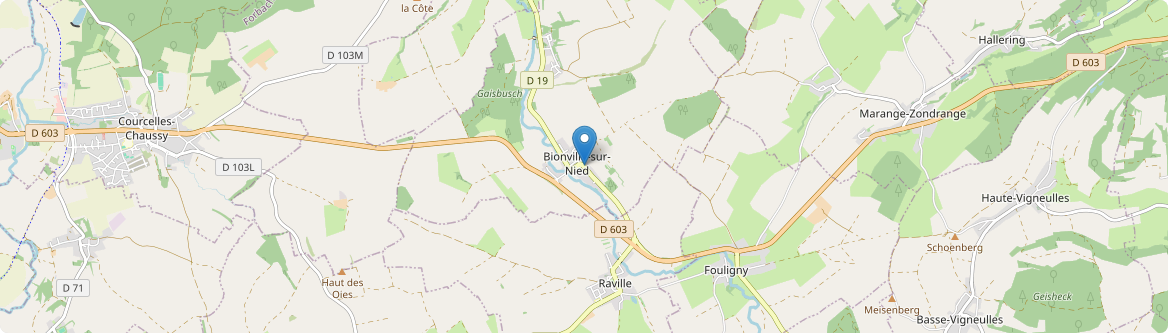 Bionville-sur-Nied - Carte