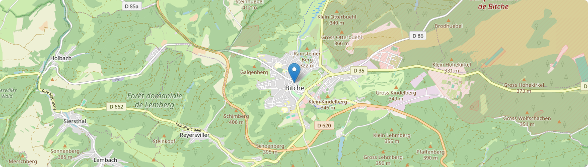 Bitche - Carte