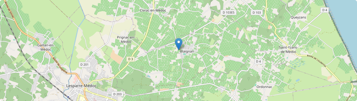 Blaignan-Prignac - Carte
