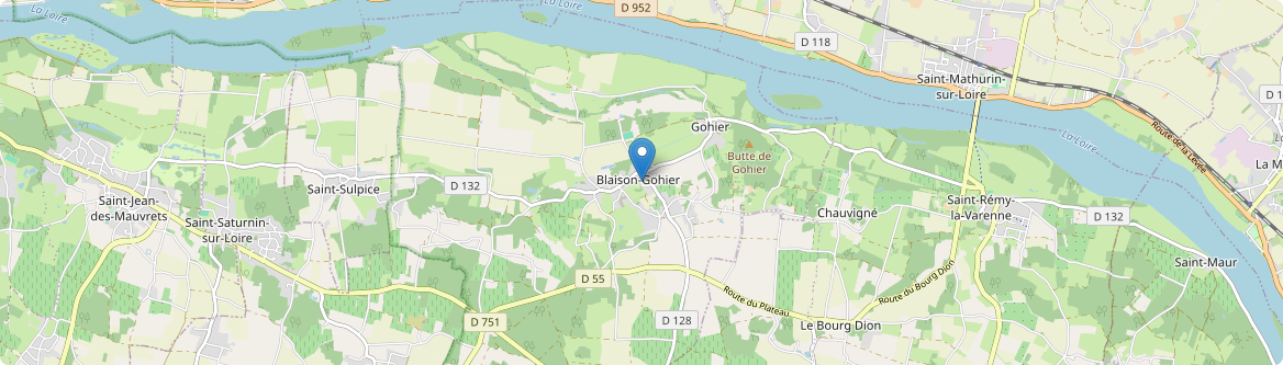 Blaison-Saint-Sulpice - Carte