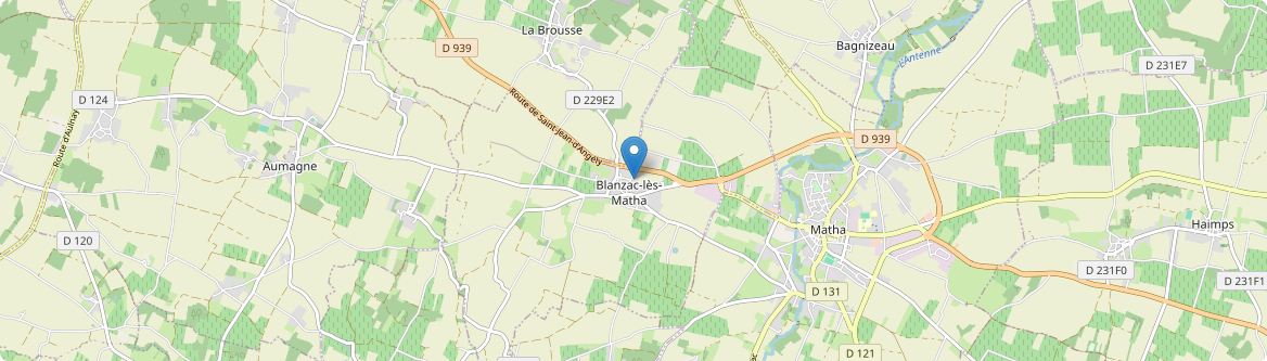 Blanzac-lès-Matha - Carte