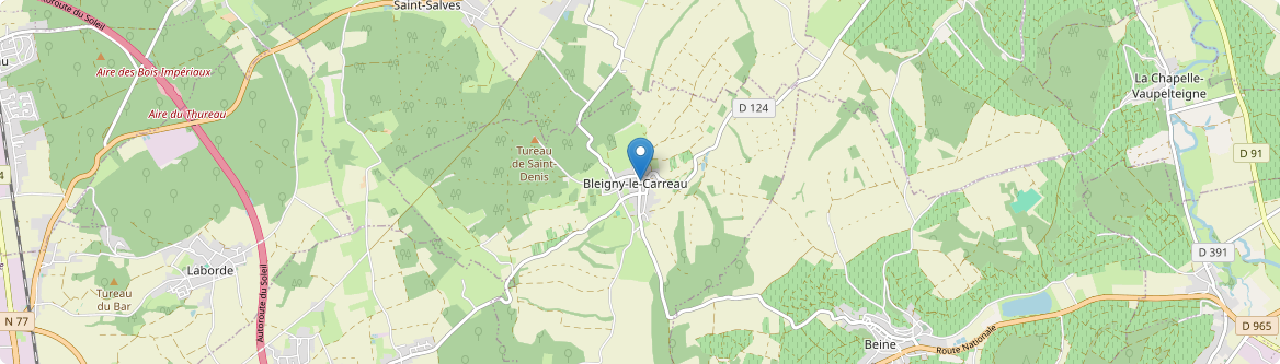 Bleigny-le-Carreau - Carte