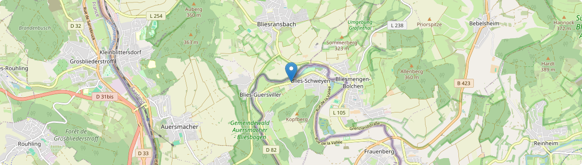 Blies-Guersviller - Carte