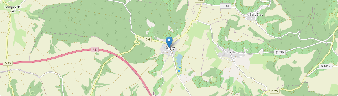 Bligny - Carte