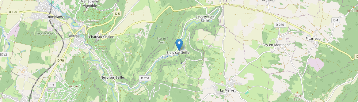 Blois-sur-Seille - Carte