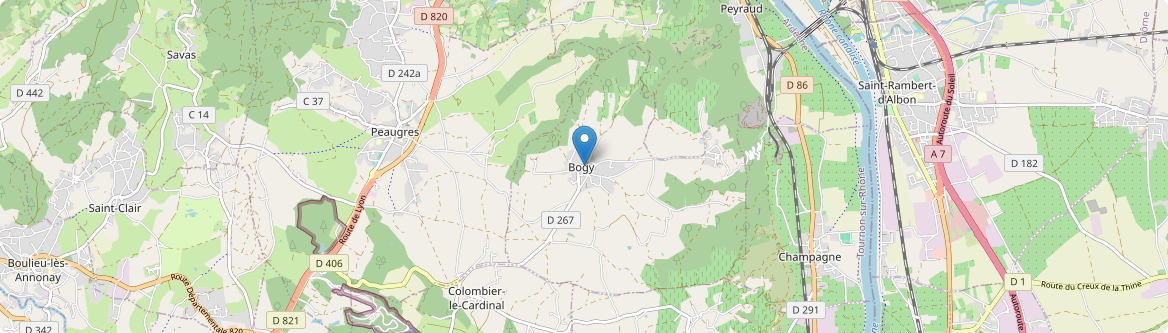 Bogy - Carte
