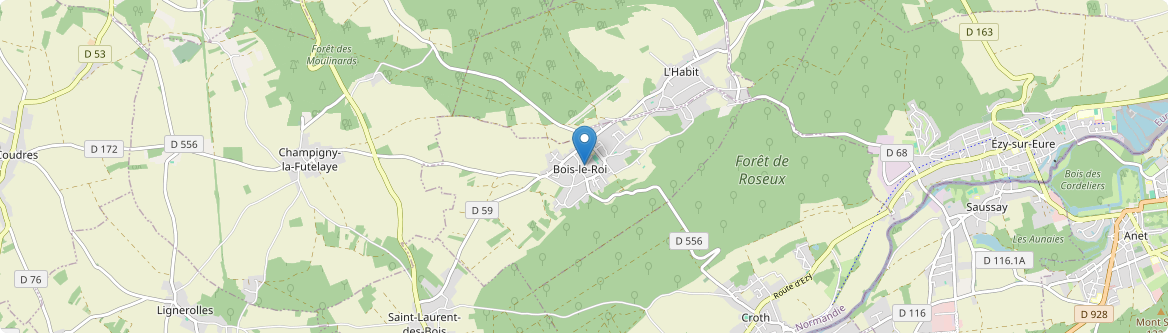 Bois-le-Roi - Carte