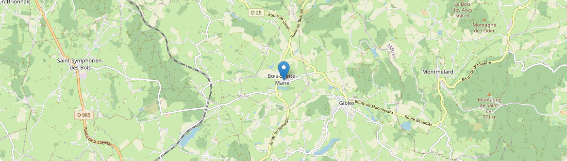 Bois-Sainte-Marie - Carte