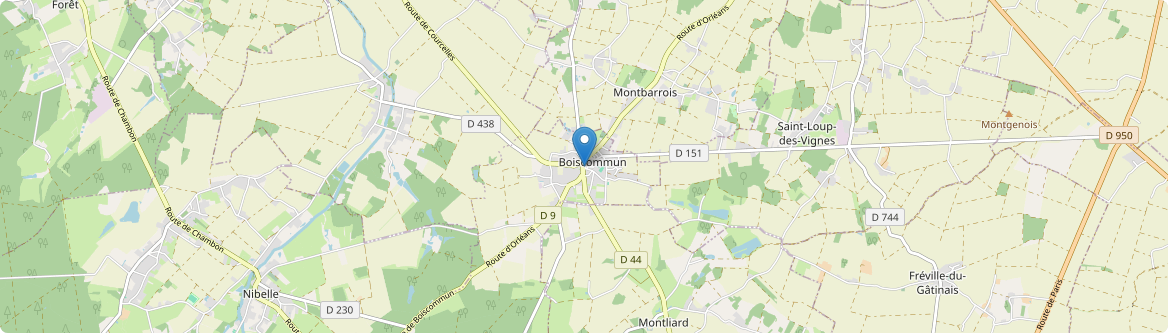 Boiscommun - Carte