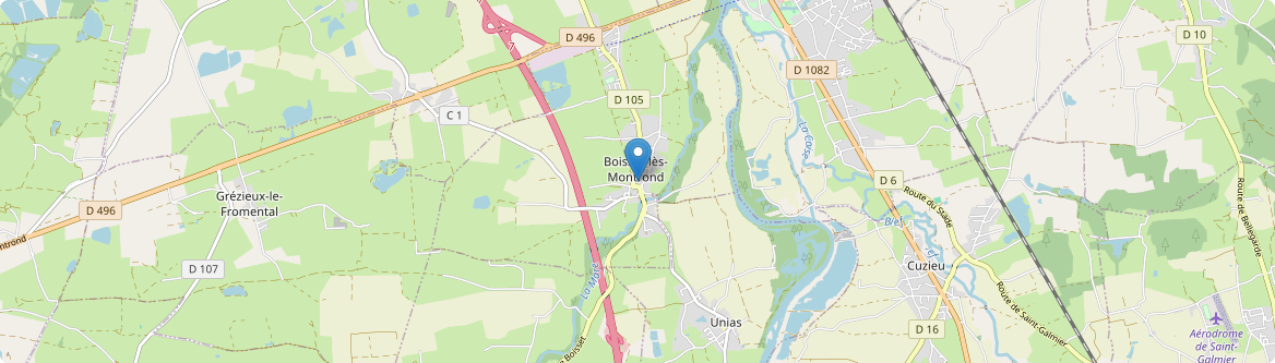 Boisset-lès-Montrond - Carte