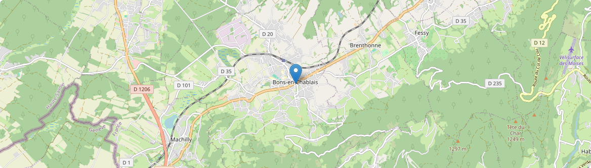 Bons-en-Chablais - Carte