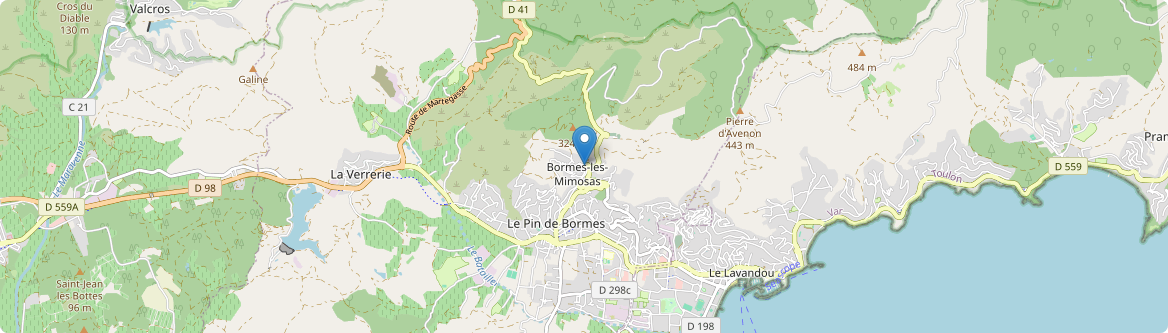 Bormes-les-Mimosas - Carte