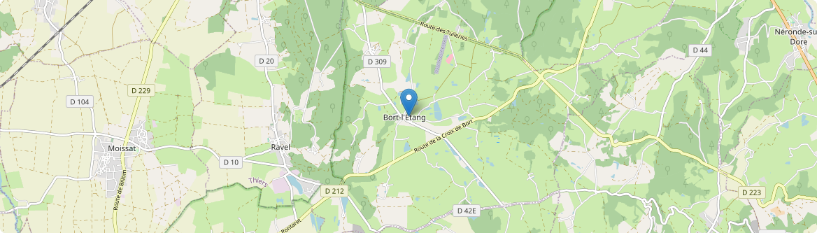 Bort-l'Étang - Carte