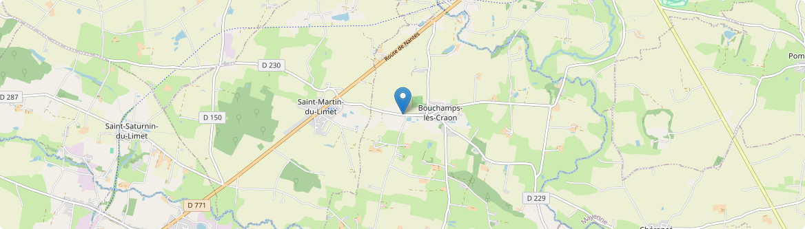 Bouchamps-lès-Craon - Carte