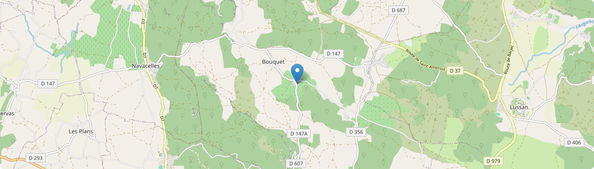 Bouquet - Carte