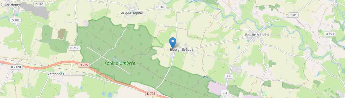 Bourg-l'Évêque - Carte