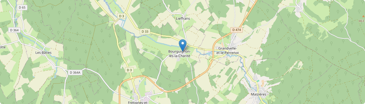 Bourguignon-lès-la-Charité - Carte