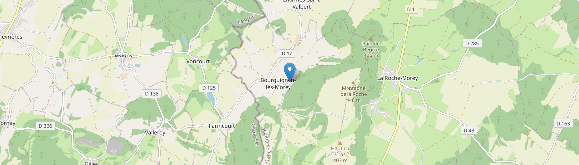 Bourguignon-lès-Morey - Carte