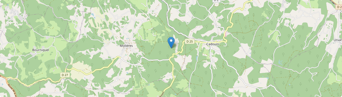 Bourniquel - Carte