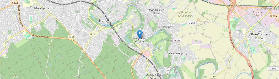 Boussy-Saint-Antoine - Carte
