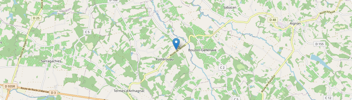 Bouzon-Gellenave - Carte