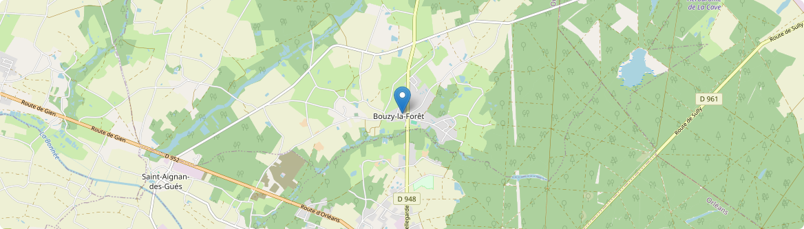 Bouzy-la-Forêt - Carte
