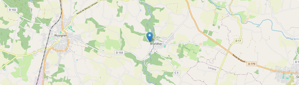 Brandivy - Carte