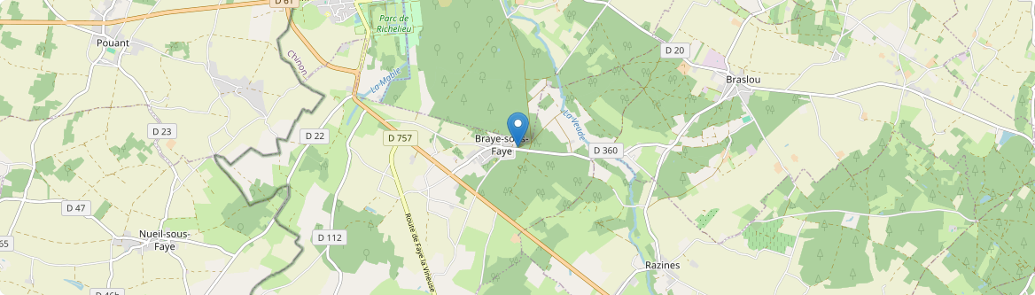 Braye-sous-Faye - Carte