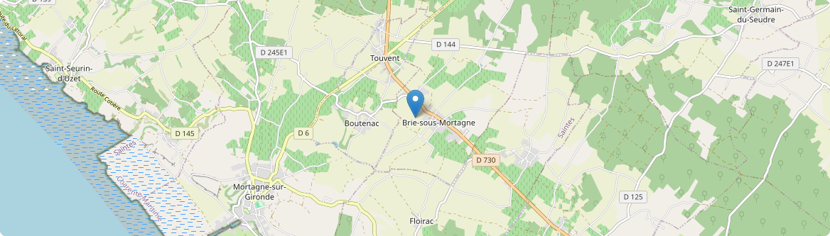 Brie-sous-Mortagne - Carte
