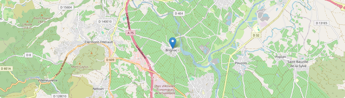 Brignac - Carte