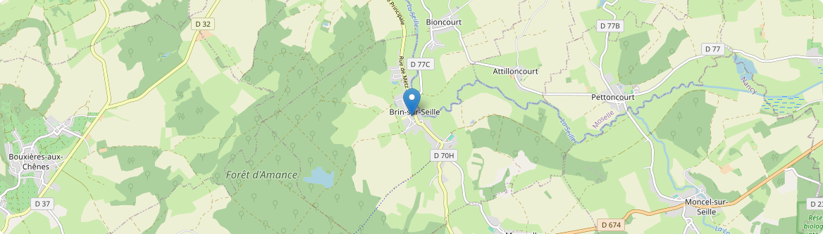 Brin-sur-Seille - Carte