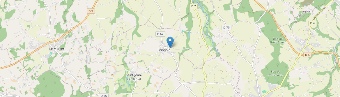 Bringolo - Carte
