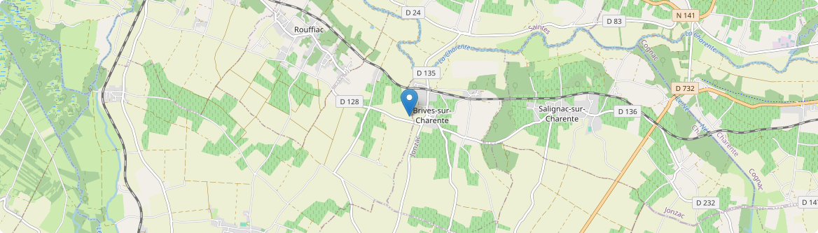 Brives-sur-Charente - Carte