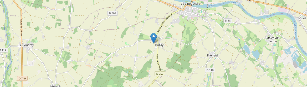 Brizay - Carte