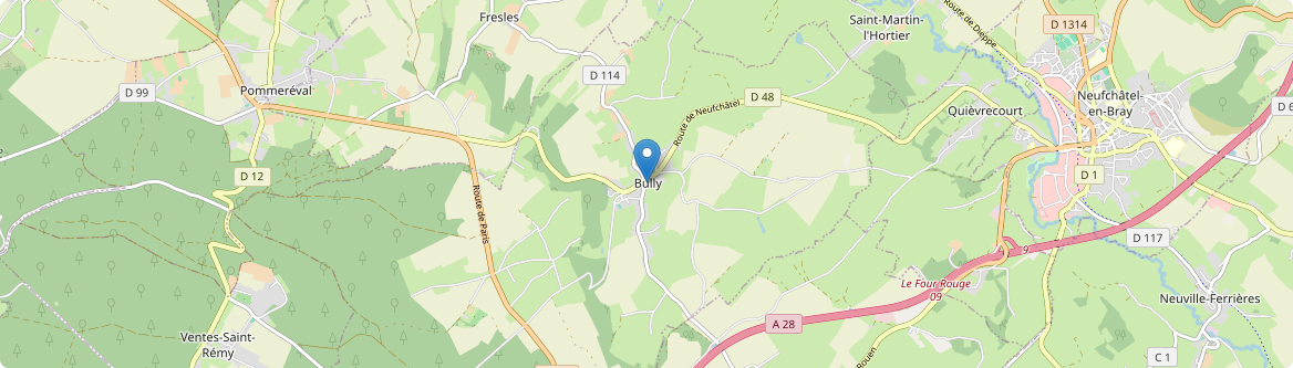Bully - Carte