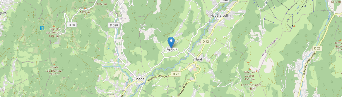 Burdignin - Carte