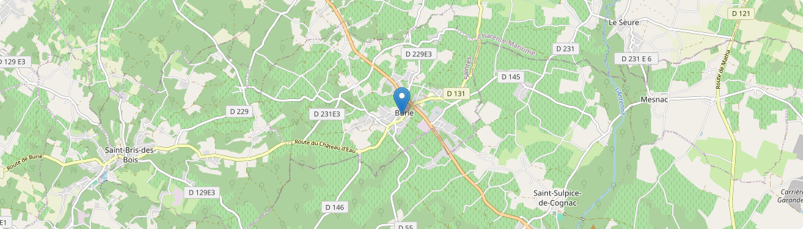 Burie - Carte