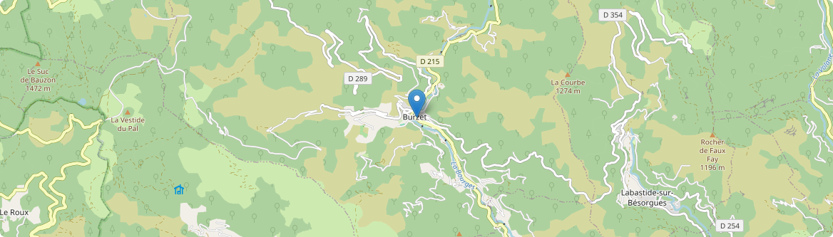 Burzet - Carte