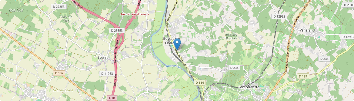 Bussac-sur-Charente - Carte