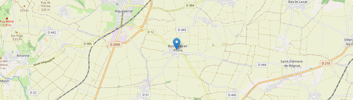 Bussières-et-Pruns - Carte