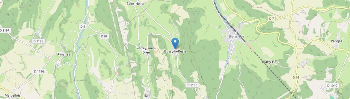 Bussy-la-Pesle - Carte
